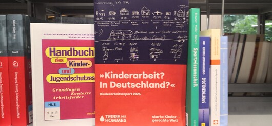 Kinderarbeitsreport 2024 von Terre des Hommes Deutschland e.V. im Bücherregal