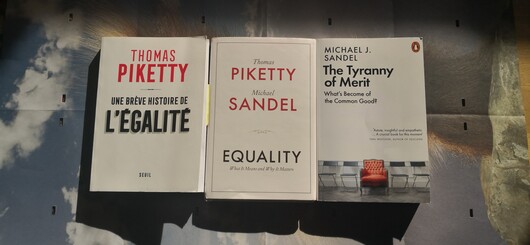 Bücher von Sandel und Piketty